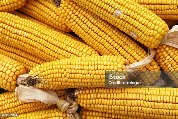 Fondo De Maíz Foto de stock y más banco de imágenes de Alimento - Alimento, Amarillo - Color, Comidas y bebidas