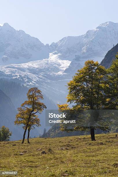 Maple Trees In The Austrian Alps Karwendel Stock Photo - Download Image Now - Austria, Autumn, Beauty In Nature