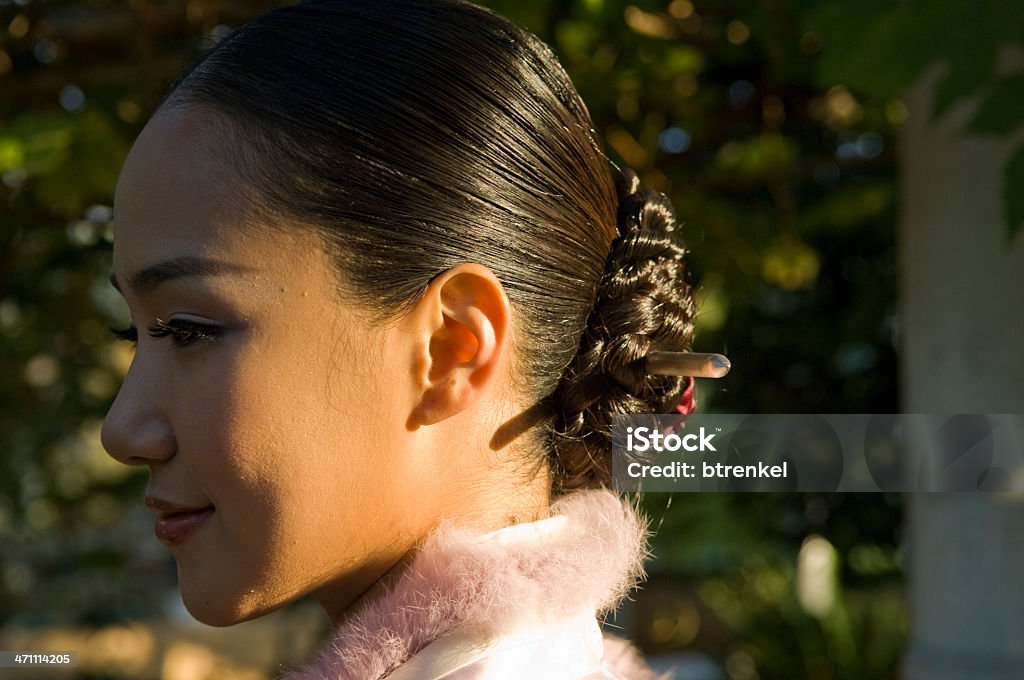 ESTILO COREANO - Foto de stock de Hanbok libre de derechos