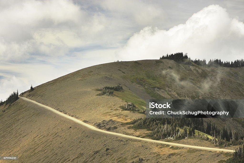 Una pista di montagna nel Parco Nazionale Olympic - Foto stock royalty-free di Montagne Olimpiche