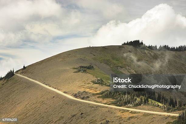 Una Pista Di Montagna Nel Parco Nazionale Olympic - Fotografie stock e altre immagini di Montagne Olimpiche - Montagne Olimpiche, Scoperta, Sentiero