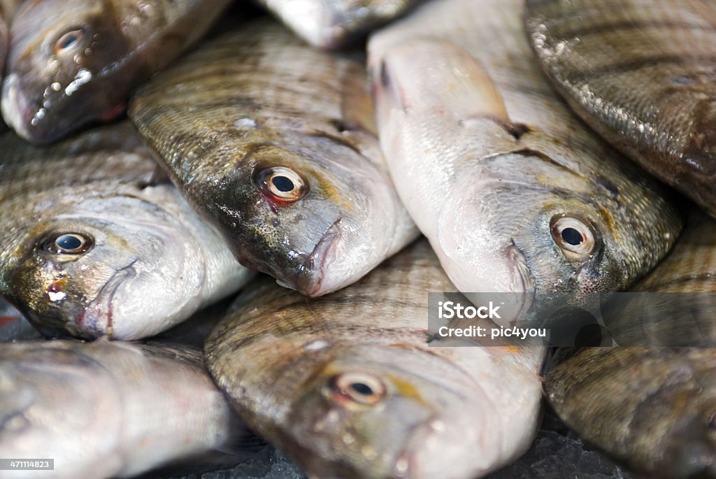 Peixe - Foto de stock de Alimentação Saudável royalty-free