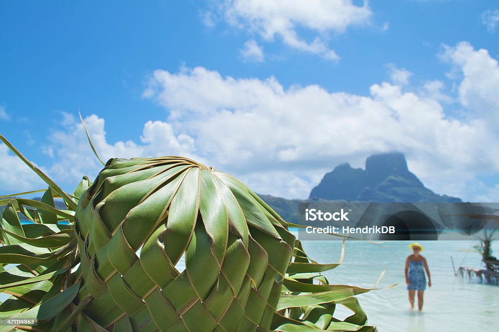 BoraBora Cappello - Foto stock royalty-free di Isola di Bora Bora