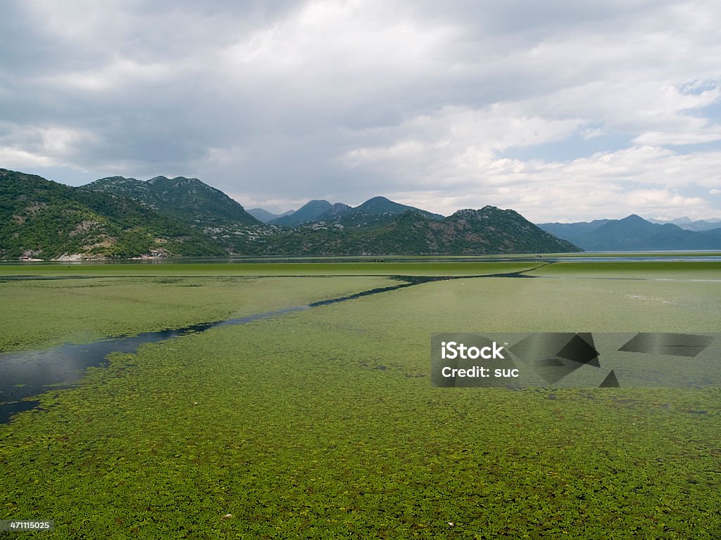 Озеро Skadar - Стоковые фото Балканы роялти-фри