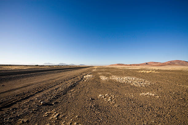 istock Namibian Desert Track 471115277