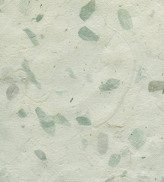 istock pale green art paper with leaves 471115371