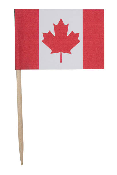istock Canadian flag toothpick (XL) 471117031