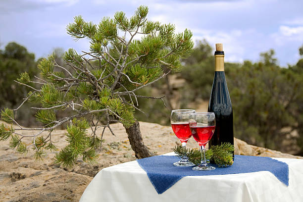 red wine glasses stock photo