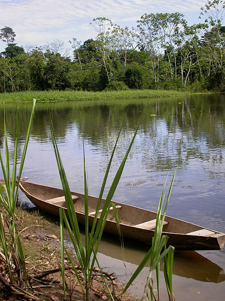 istock Amazon River Wooden Boat Canoe in Peru 471118159