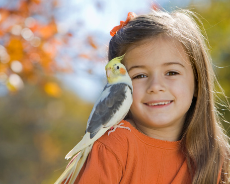 Little girl smiling with her pet cockatiel sitting on her