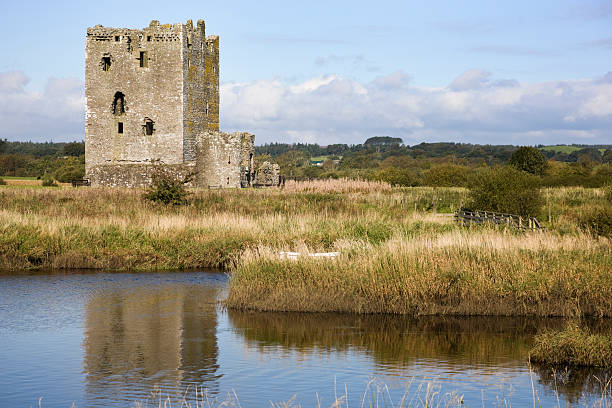 threave замок на реку - dumfries and galloway стоковые фото и изображения