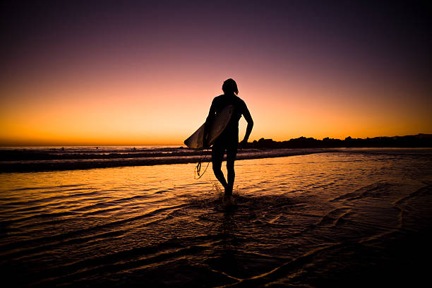 lone surfer am strand - santa monica surfing beach city of los angeles stock-fotos und bilder
