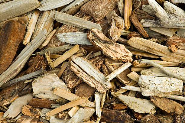 deriva fondo de madera - driftwood beach wood macro fotografías e imágenes de stock