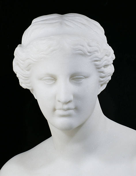 jefe de venus de milo - sculpture women fine art statue marble fotografías e imágenes de stock