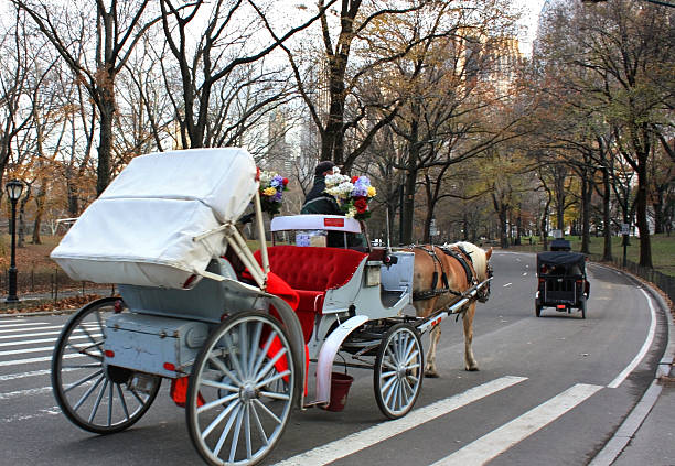 istock Horsedrawn Carriage in NYC 471124349