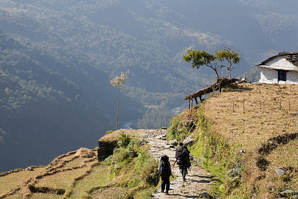 arrozais perto das montanhas annapurna - nepal landscape hiking rice imagens e fotografias de stock