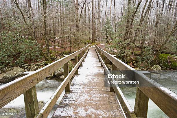 Foto de Passarela Inverno e mais fotos de stock de Inverno - Inverno, Parque Nacional das Great Smoky Mountains, Aventura