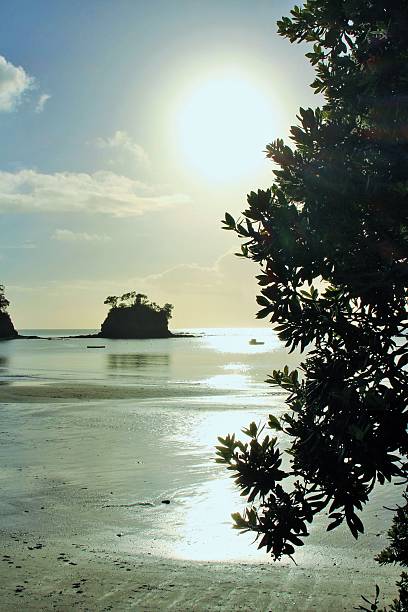 istock Morning Sun, beach and an island 471126090
