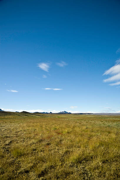 istock Iceland Green Landscape 471126283