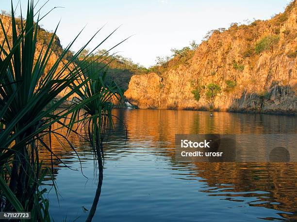 Nadar En El Lago Foto de stock y más banco de imágenes de Actividades recreativas - Actividades recreativas, Agua, Agua estancada