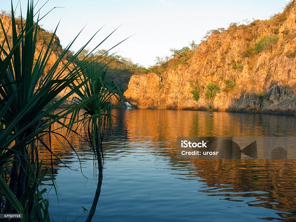 湖でのスイミング - オーストラリアのロイヤリティフリーストックフォト