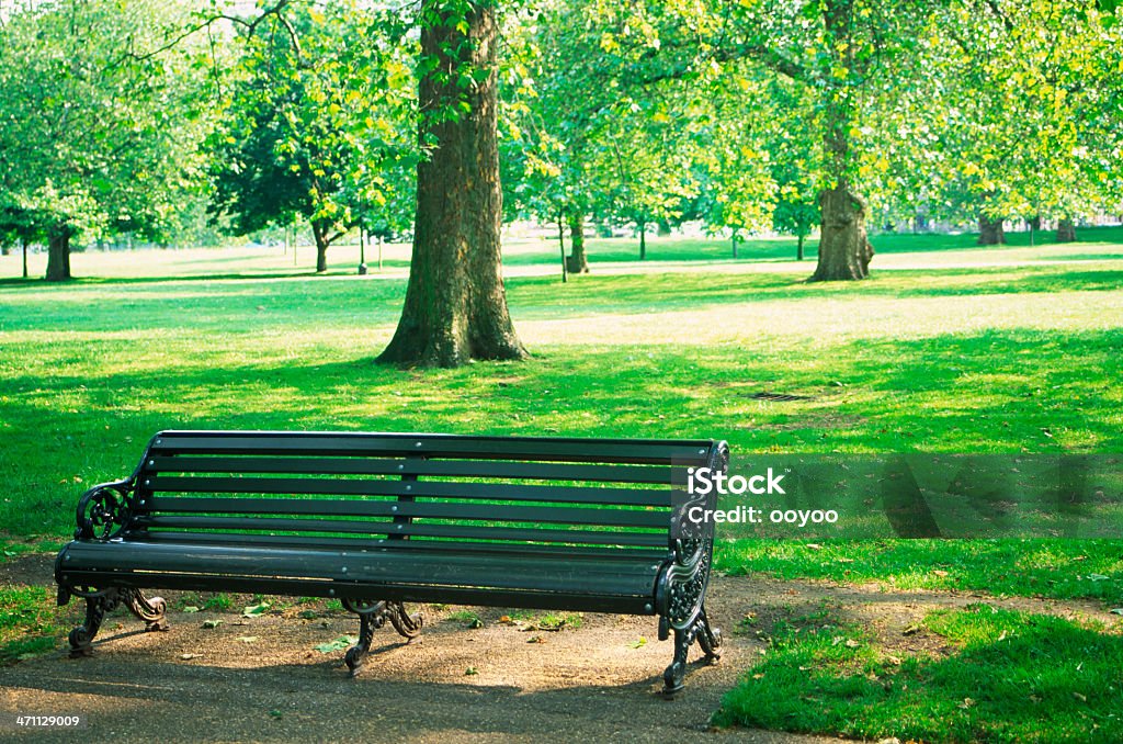 Park Bench a park bench in the morning Backgrounds Stock Photo