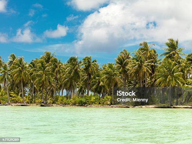Palmy Kokosowe - zdjęcia stockowe i więcej obrazów Bez ludzi - Bez ludzi, Bora-Bora, Chmura