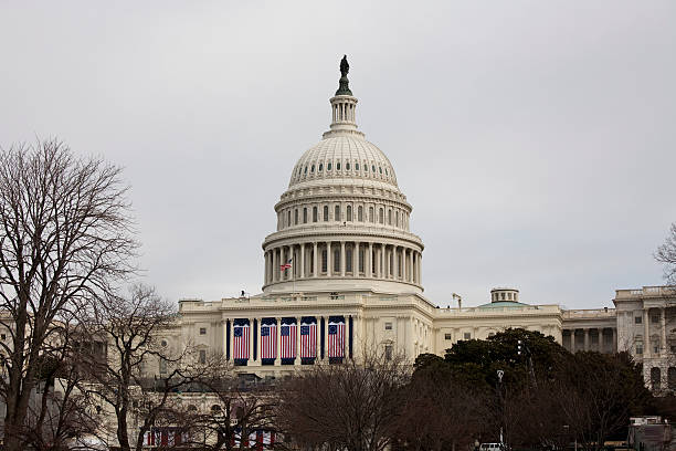 istock President Barack Obama's Inauguration, Washington DC Capitol Building 471131337