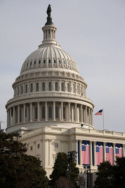 presidente barack obama di insediamento, washington dc capitol building - inauguration into office washington dc barack obama capitol building foto e immagini stock