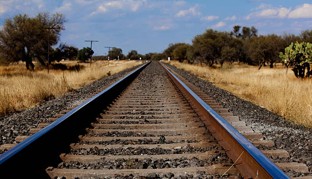 Railroad Tracks stock photo