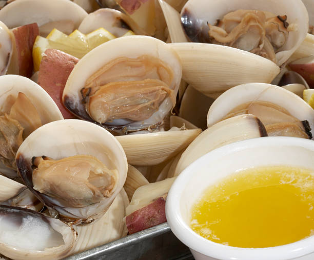 steamers
