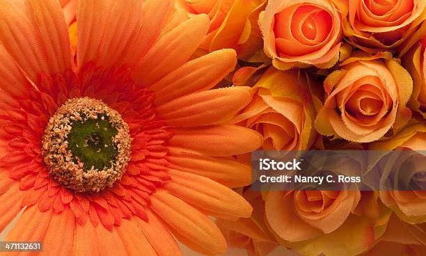 Petali Di Rose E Fiori Di Gerbera Arancione Calde Tonalità Bouquet - Fotografie stock e altre immagini di Ambientazione interna