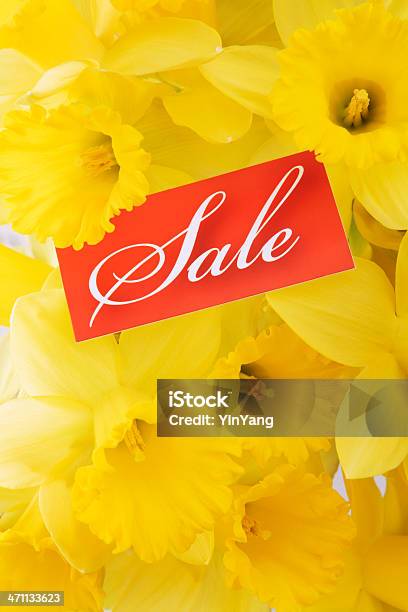 Primavera Venda Assinar Vt - Fotografias de stock e mais imagens de Amarelo - Amarelo, Atividade Comercial, Bouquet