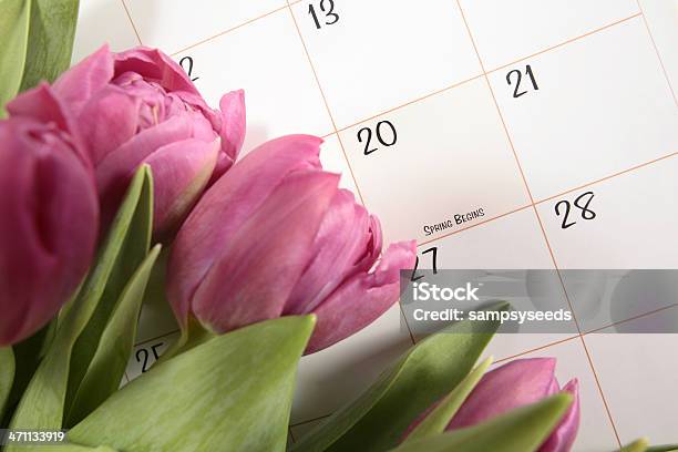 Photo libre de droit de Premier Jour Du Printemps banque d'images et plus d'images libres de droit de Calendrier - Calendrier, Printemps, Fleur - Flore