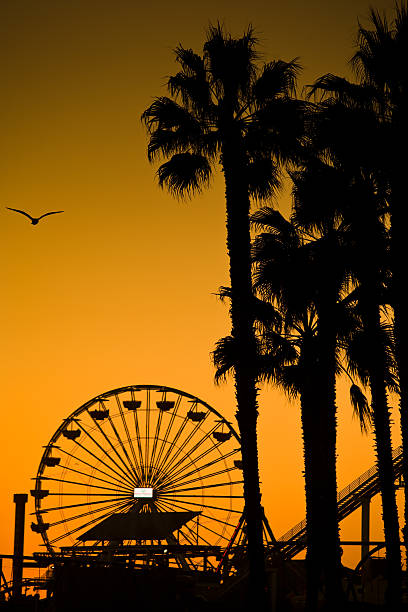 Santa Monica Ferris Wheel and Trees
