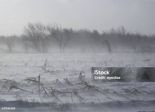 Blizzard Nad Pole Kukurydzy - zdjęcia stockowe i więcej obrazów Bez ludzi - Bez ludzi, Burza, Burza śnieżna