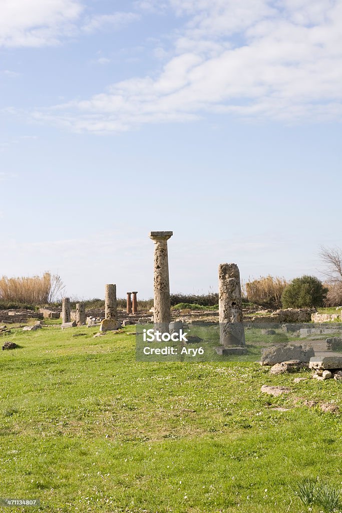 Rovine di colonna (Paestum, Italia - Foto stock royalty-free di Antica Grecia
