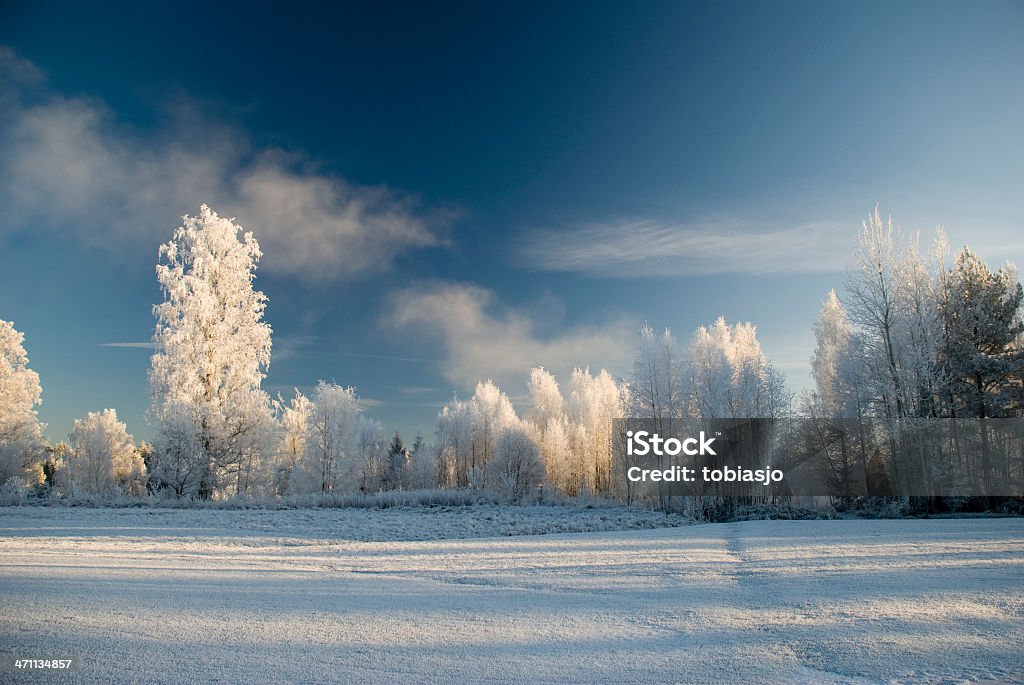 Winter-Landschaft - Lizenzfrei Abenteuer Stock-Foto