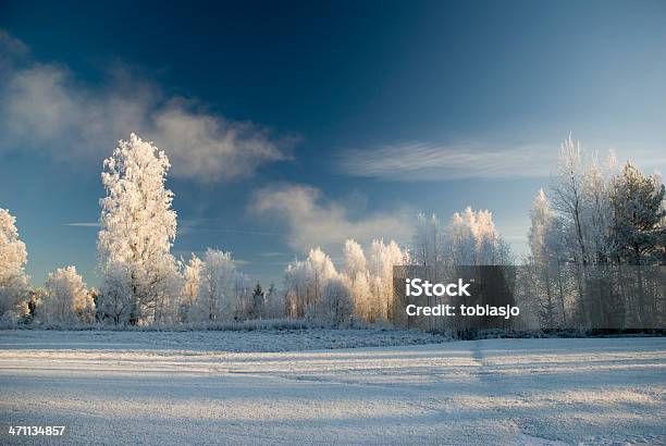 Winterlandschaft Stockfoto und mehr Bilder von Abenteuer - Abenteuer, Baum, Blau