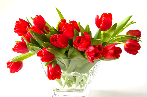 Bouquet of beautiful colorful tulips on white wooden background, closeup