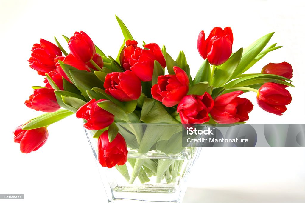 Bela vermelho Túlipas em jarra de Vidro - Royalty-free Bouquet Foto de stock