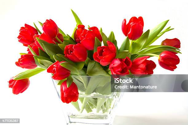 Bela Vermelho Túlipas Em Jarra De Vidro - Fotografias de stock e mais imagens de Bouquet - Bouquet, Vermelho, Tulipa