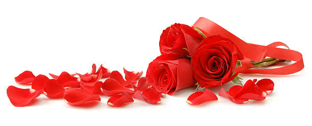 розовый букет - rose red valentines day wedding стоковые фото и изображения