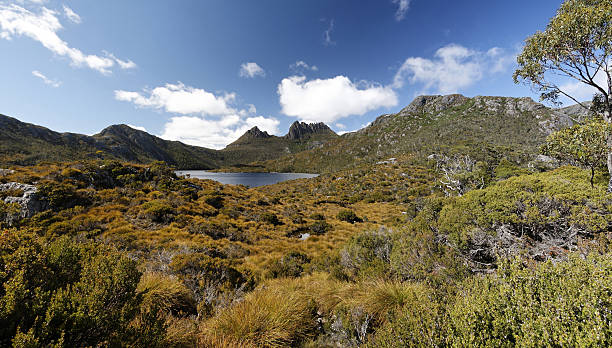 istock Tasmanian beauty, Cradle Mountain 471135997