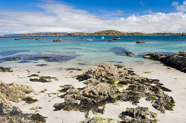 Isle Of Islay Nature, Scotland, United Kingdom