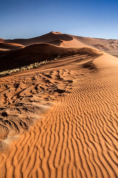 tormenta de arena en sossusvlei - great sand sea fotografías e imágenes de stock