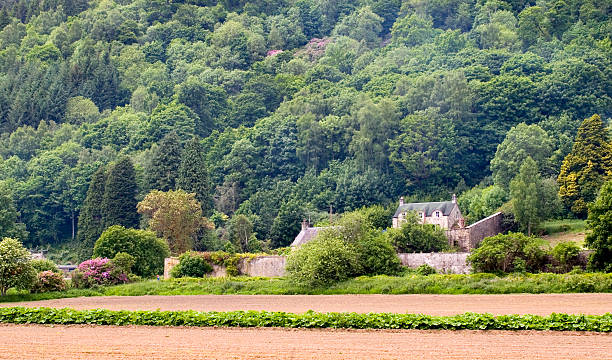istock Farm in Scotland 471138633