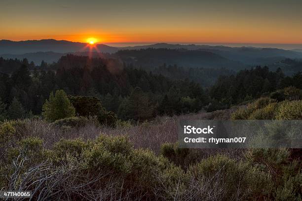 Zachód Słońca Nad Hills - zdjęcia stockowe i więcej obrazów Bez ludzi - Bez ludzi, Bylica - Biegacz stepowy, Czas