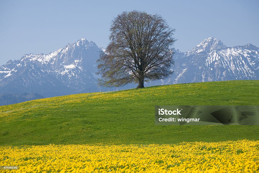 bavarian Primavera Prado - Royalty-free Abril Foto de stock