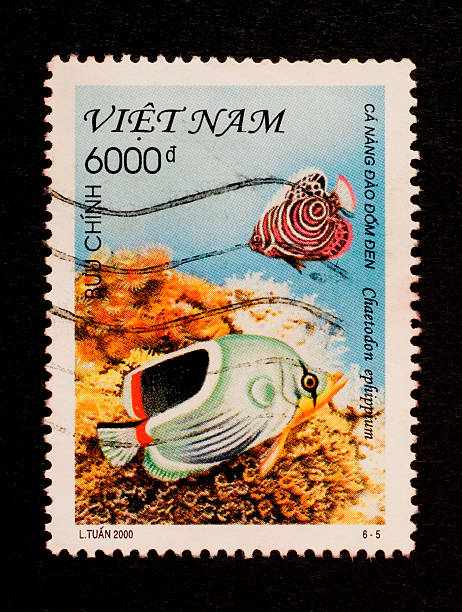 istock Postage Stamps: Two Coral Fishes (Vietnam) 471140293